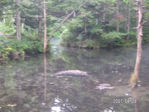 s_PICT0376.jpg